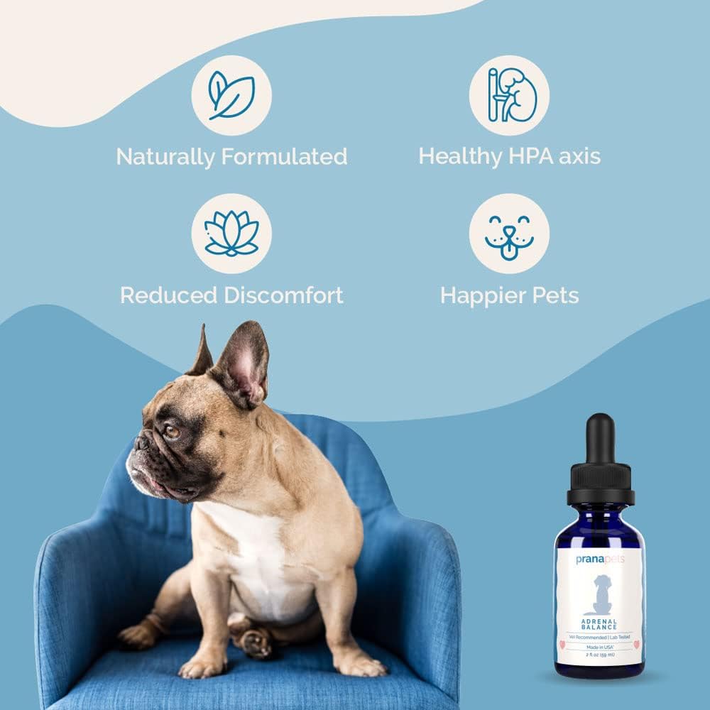 PranaPets Adrenal Balance for Dogs with Cushing's | Naturally Relieves Symptoms of Cushing's Disease in Dogs | Licorice Free Herbal Formula for Dogs with Cushing's Disease - 2 Pack