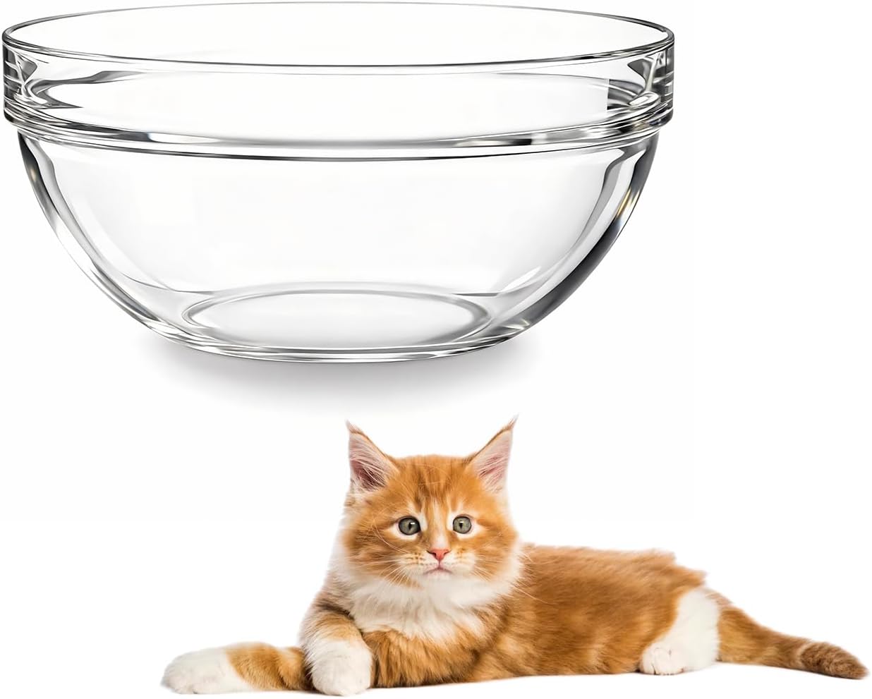 Replacement Glass Bowl for Feoyoho 3.75in Feeder Stand – Small, 13.7 oz / 1.7 Cups, Dishwasher & Microwave Safe