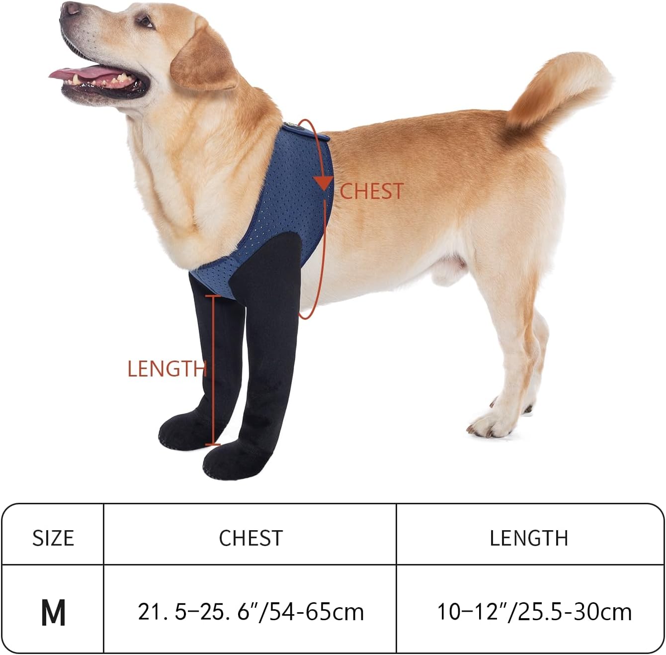 COODEO Dog Socks & Paw Protectors - Front Paws Only, Non-Slip Waterproof Dog Boots to Prevent Paw Licking, Protect Wounds & Aids Post-Surgery Recovery (Grey, M)