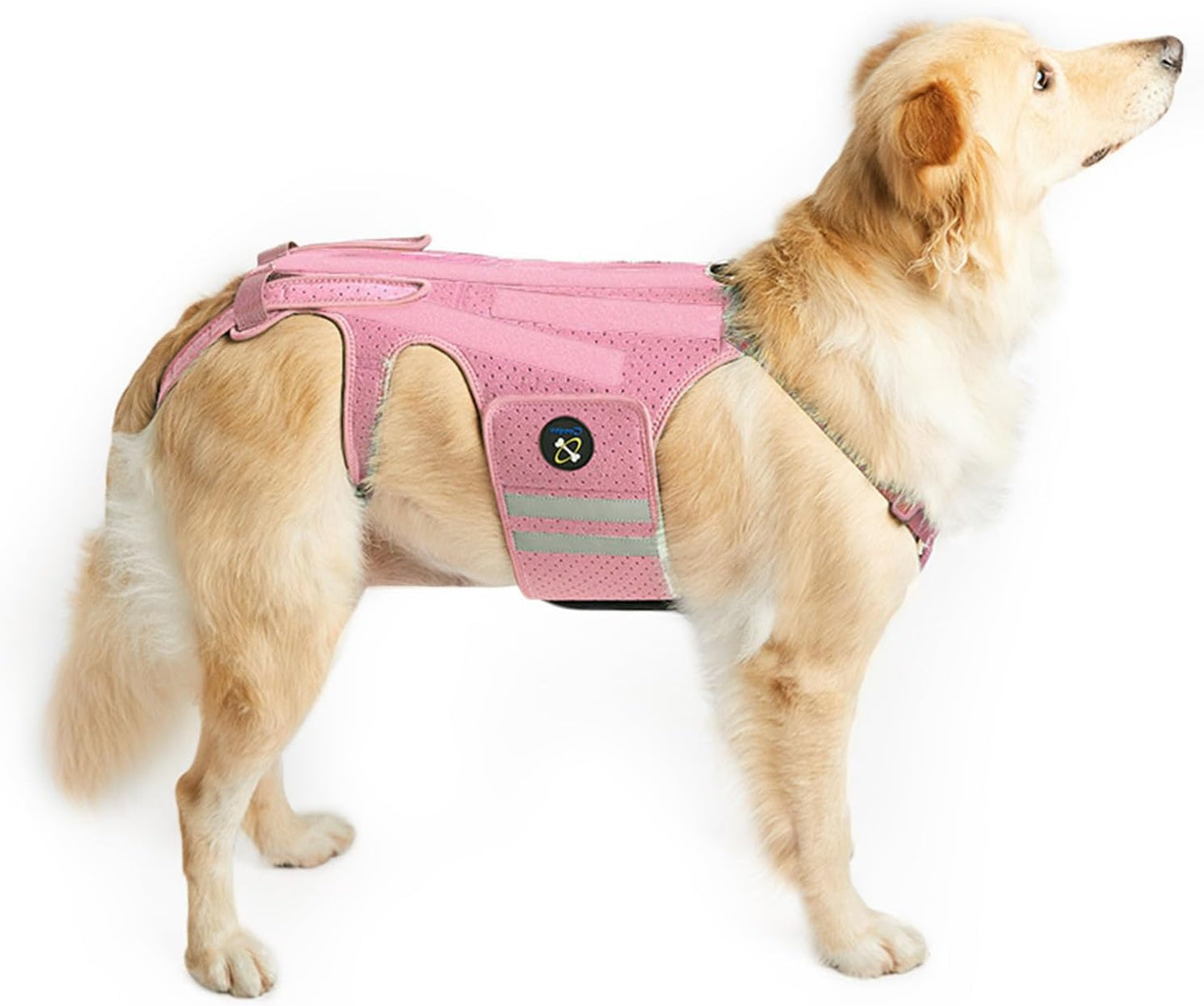 Coodeo Dog Back Brace for Dogs Arthritis, Pet Back Bracer for IVDD, Back Protector Helps Pain Relief, Surgical Recovery and Rehabilitation, Dogs Back Disease Prevention. (Pink,Medium)
