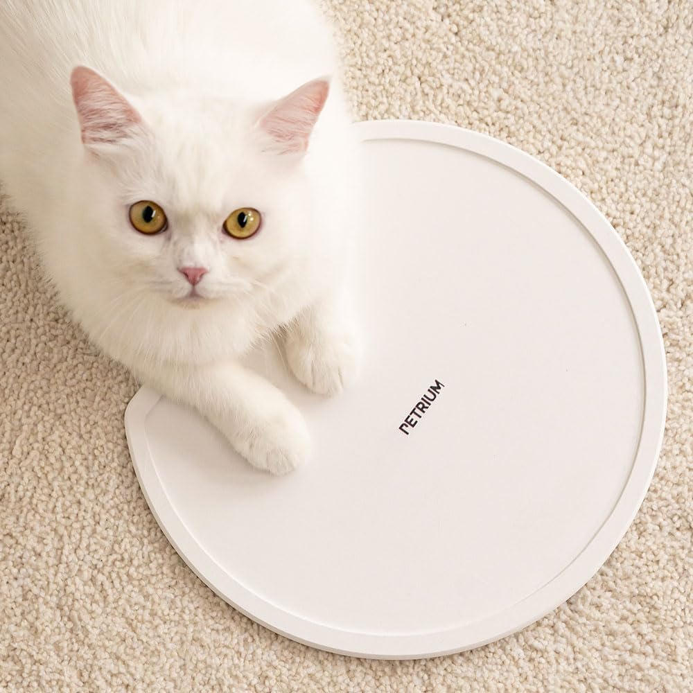 Stone Dry Mat for Pets, Absorbent Pet Feeding Mat for Food, Water Bowls Quick Drying Mat for Pet Cat Water Fountains Natural Diatomaceous Earth Non-Slip Dog Cat Accessories for Messy Drinkers