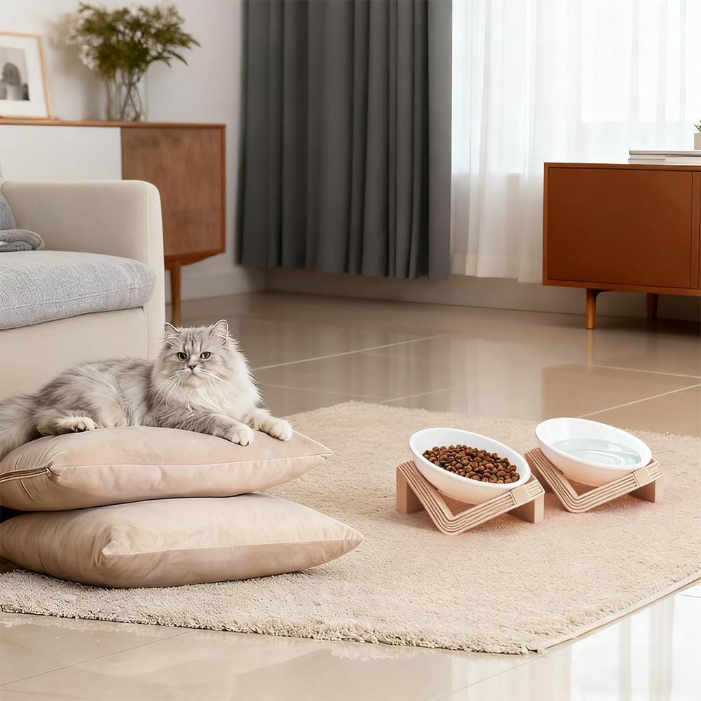 Elevated Cat Bowls for Food and Water, 2Pcs Raised Cat Food Bowls with Stand, 15° Slanted Ceramics Pet Dishes, Anti-Vomit Neck Protection Dog Water Bowls for Cats, Puppies