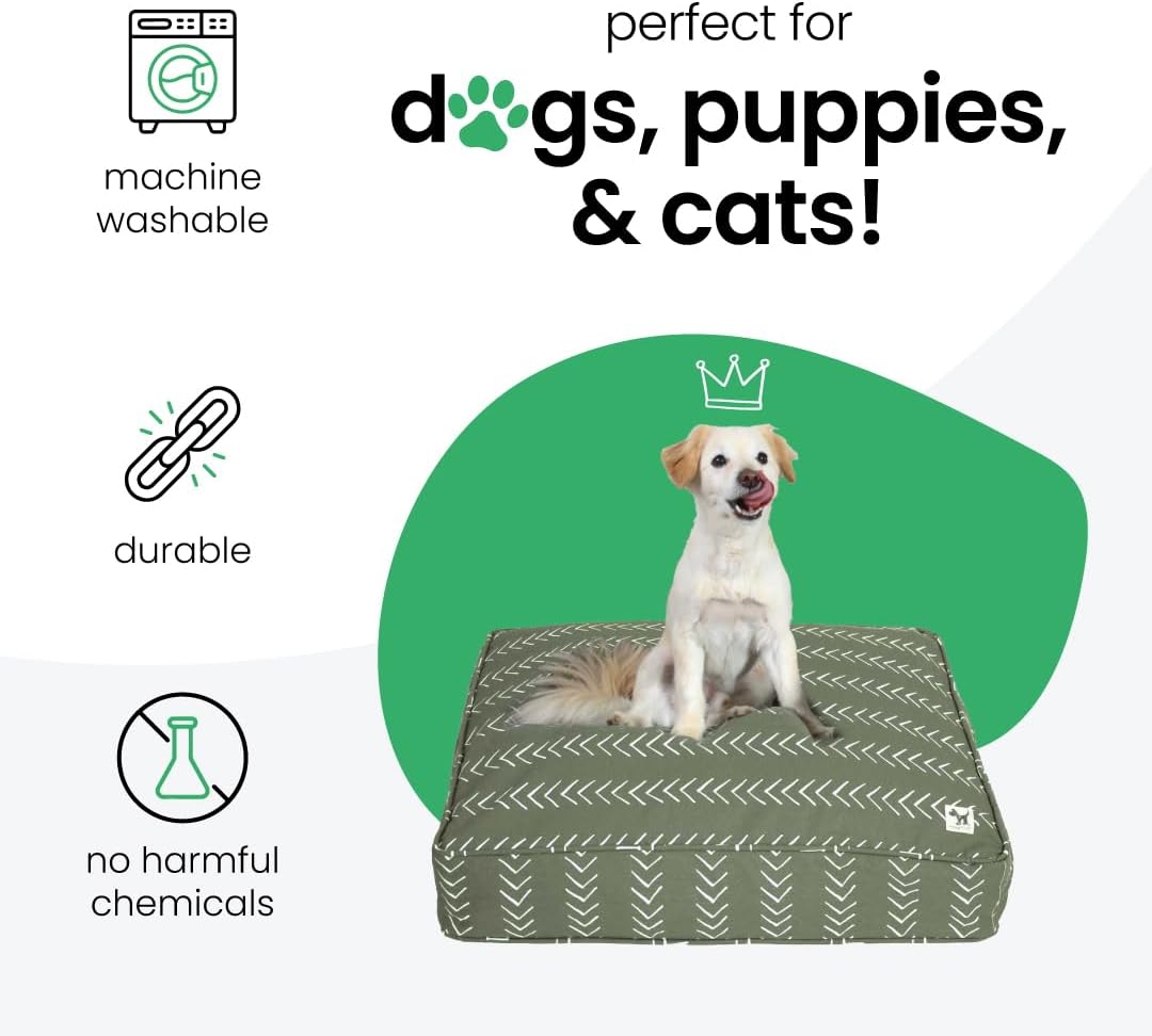 Molly Mutt Medium to Large Dog Bed Cover- Forever Young Print - Measures 27”X36”X5’’ - 100% Cotton - Durable - Breathable - Sustainable - Machine Washable Dog Bed Cover (Dd82b)