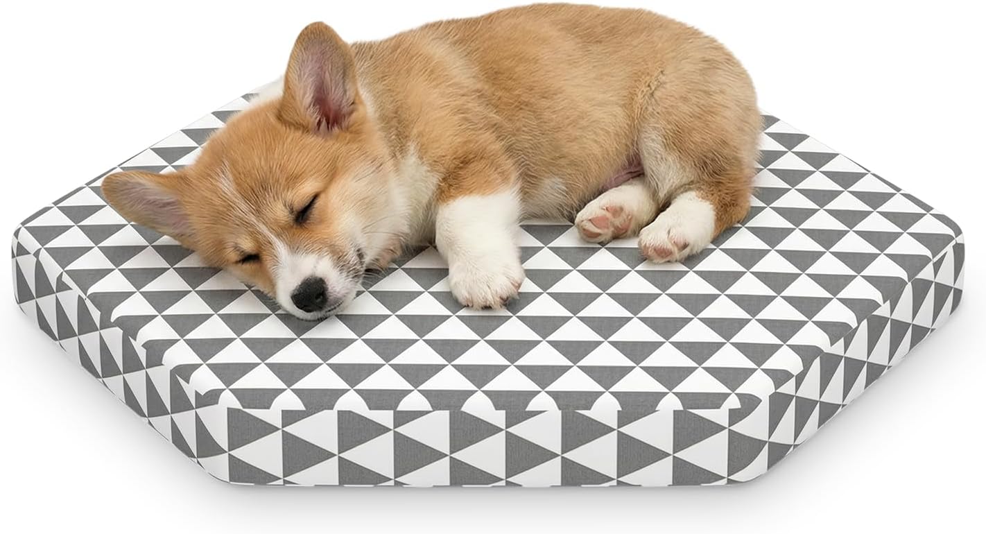 Orthopedic Dog Beds for Small Dogs, Pet Bed with 6 Sides,Removable & cleanable Cover，S