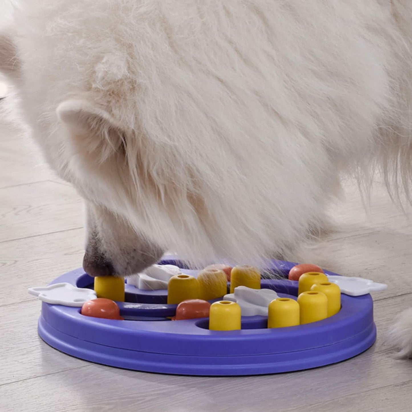 Pet Slow Feeder Bowls Portable Slip Leakproof Cats/Dogs Multifuctional with Dog Puzzle Plates Dog