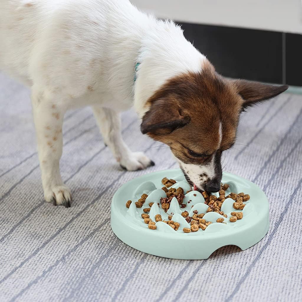 for Slow Eating Non Slip Dog Puzzle Bowl Feeder Dish Pet Bowls with Fish Pattern
