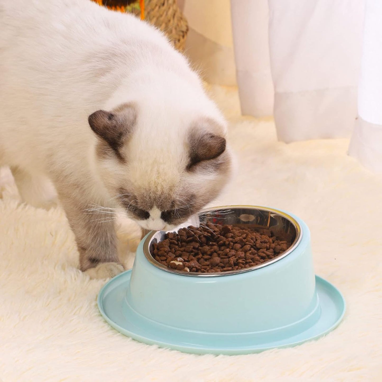 for Cat Food Bowls Elevated for Cat Bowls for Food and Water with Base Stand Bowl 15° Raised Single Bowl