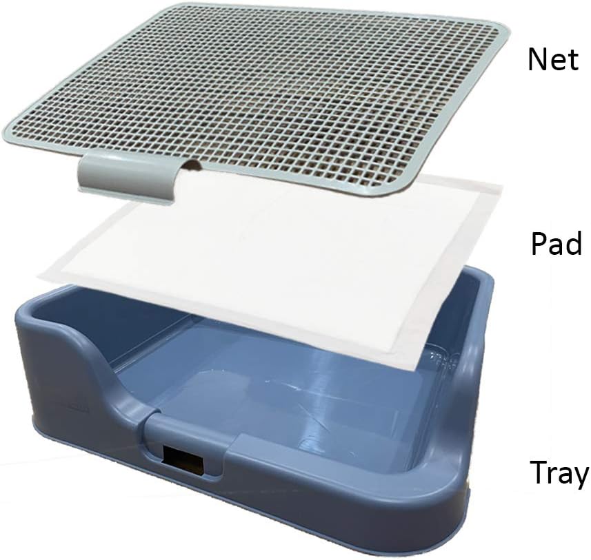 PS KOREA] Indoor Dog Potty Tray - with Protection Wall Every Side for No Leak, Spill, Accident - Keep Paws Dry and Floors Clean (Wine)