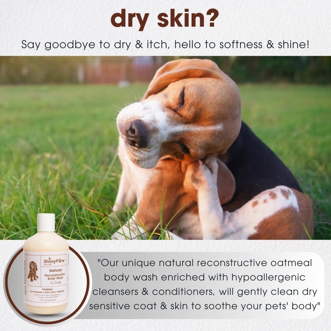 Oatmeal Shampoo for Dogs 16 oz | Shiny Paw Dog Shampoo for Allergies and Itching | Controls Dog Shedding Naturally | Itchy Skin Relief for Dogs | Tearless Dog Shampoo & Conditioner