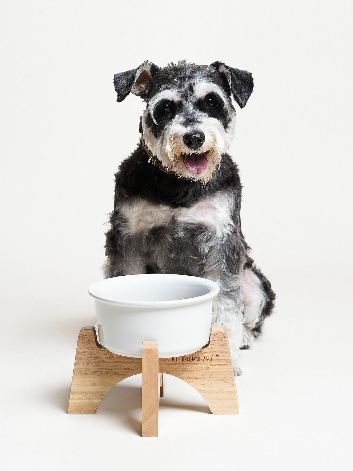 Raised Ceramic Dog Bowl with Wooden Stand, 6.5 Inch Elevated Feeder for Small & Medium Breeds, White, Set of 1