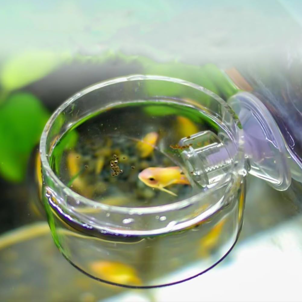 2 Pack 60mm Aquarium Shrimp Feeder Dish with Suction Round Clear Fish Tank Food Tray Container Feeder Bowl Prevent Food Spilling