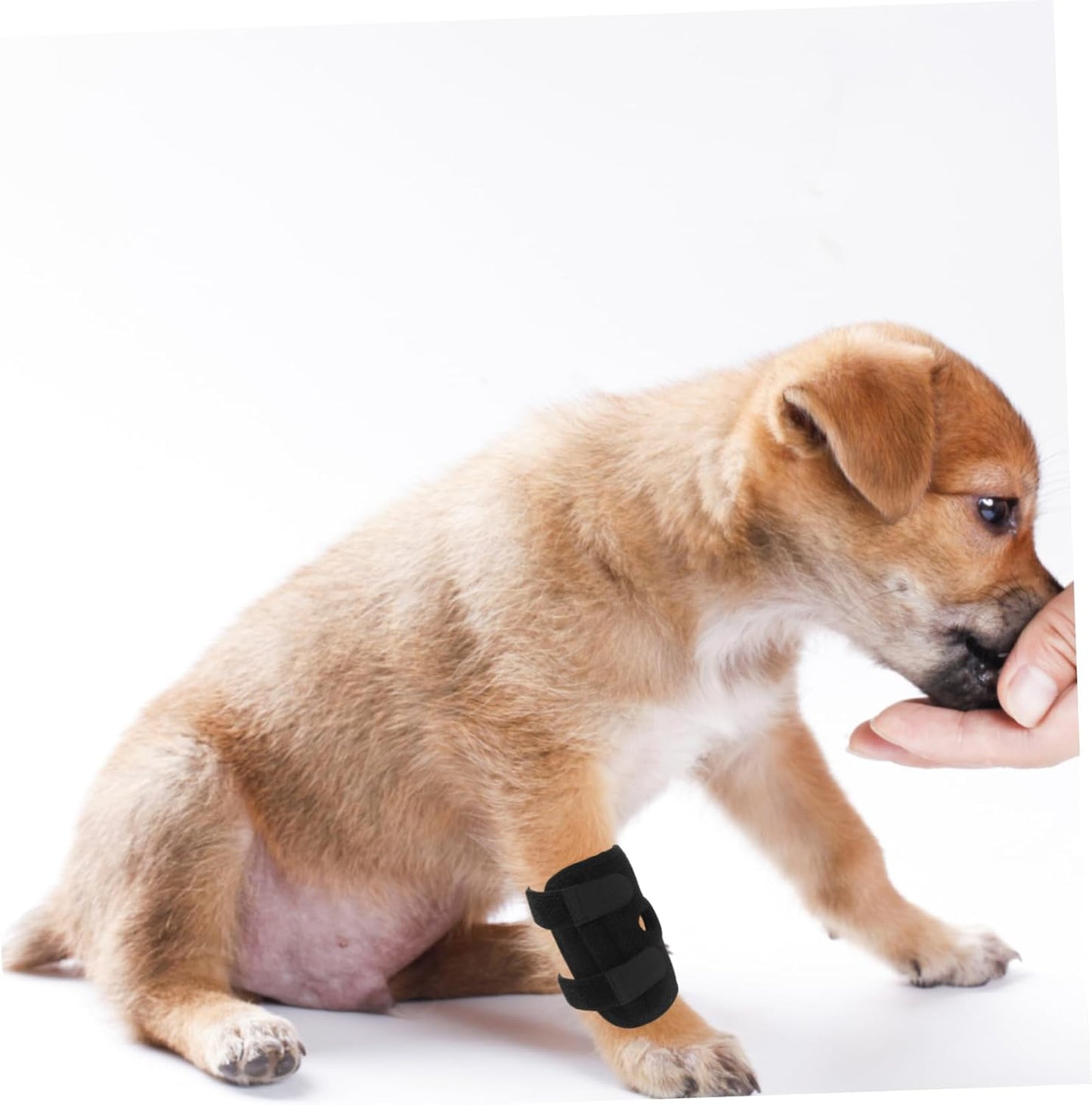 PRETYZOOM Knee Pad for Dogs Adjustable Leg Cover Breathable Neoprene Dog Leg Guard Pet Knee Brace for Large Dogs Joint