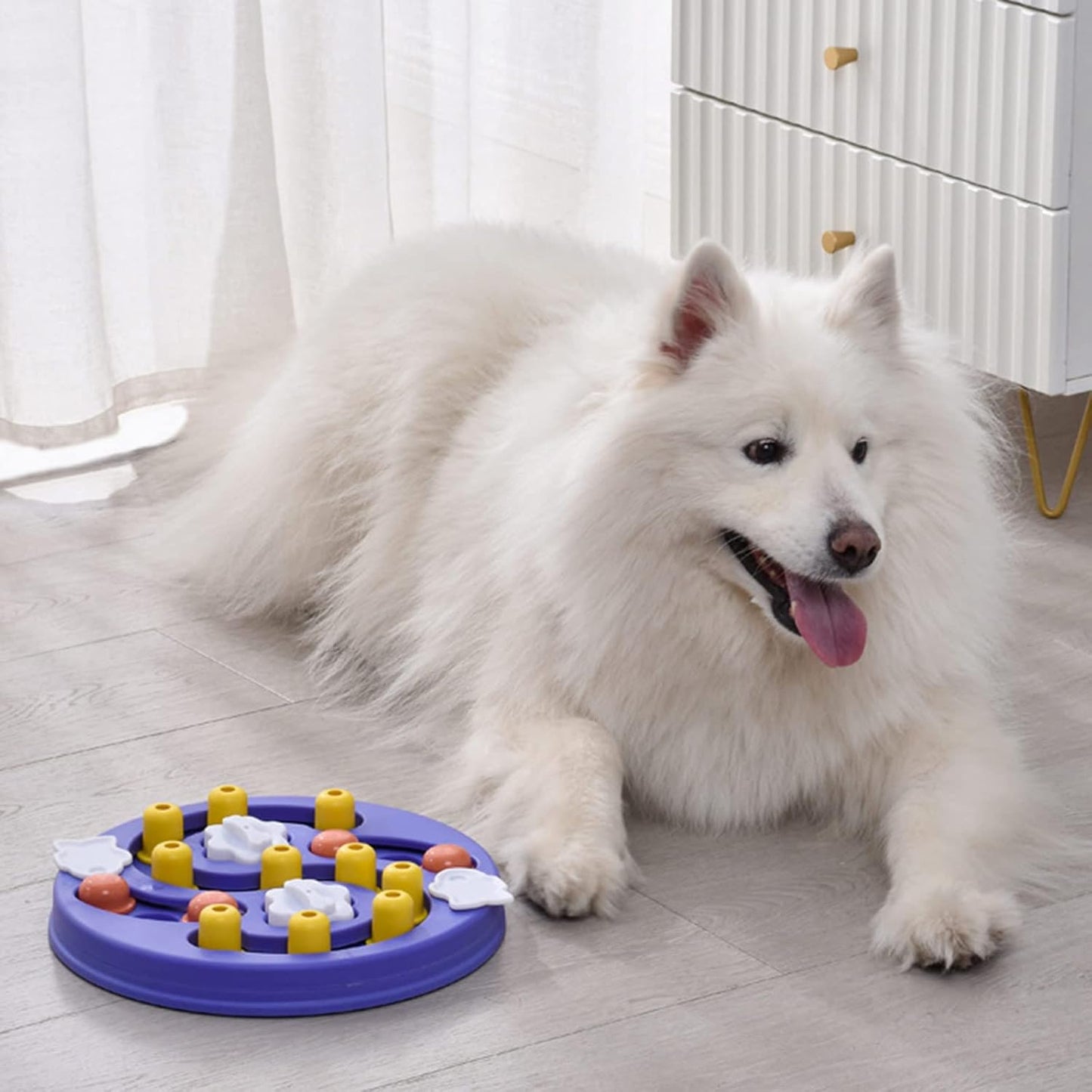 Pet Slow Feeder Bowls Portable Slip Leakproof Cats/Dogs Multifuctional with Dog Puzzle Plates Dog
