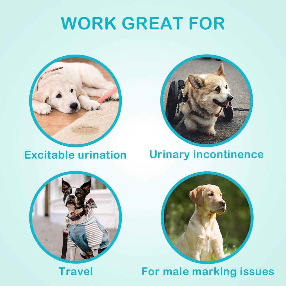 Male Dog Diapers - Absorbent Dog Wraps Belly Bands for Male Dogs with Leak Protection, Excitable Urination, Incontinence, or Marking, Medium 44 Pcs
