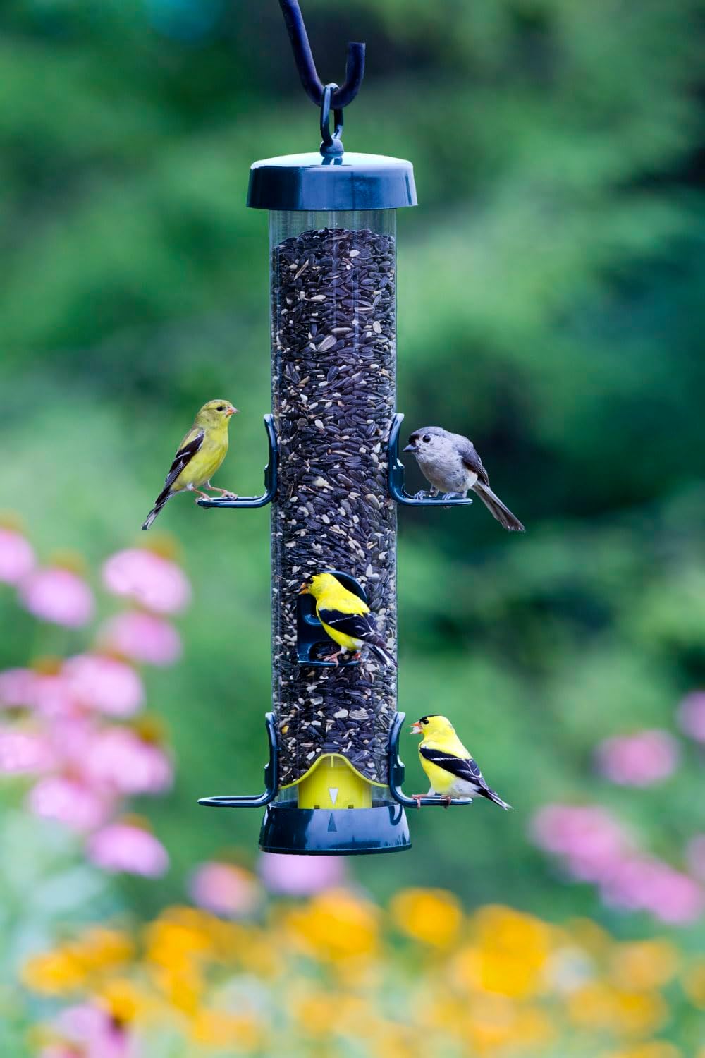 Brome Tube 200 Wild Bird Feeder, Metal, 6 Seed Ports, 3.4 lb Capacity, Extra-Wide Perches, Easy to Fill & Clean, Pole-Mountable, Seed Tray Available