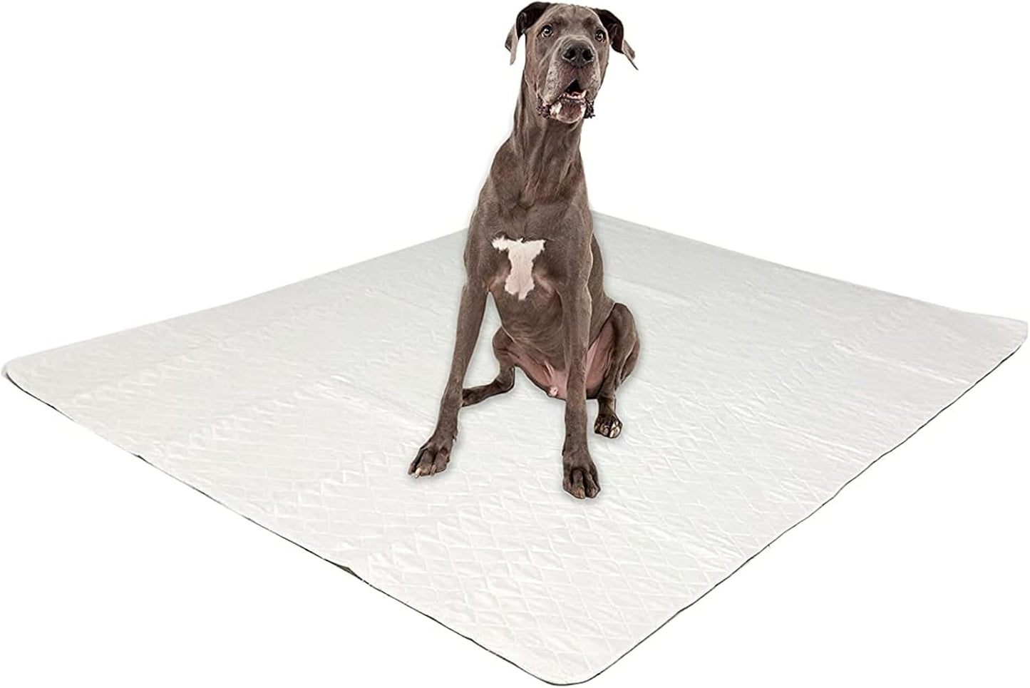 Midlee Reusable Washable Dog Pee Pads XL 60"x72" – Pack of 3 | Waterproof Puppy Training Pads, Whelping Mat, Incontinence Pad for Large Dogs