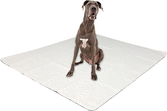 Midlee Reusable Washable Dog Pee Pads XL 60"x72" – Pack of 3 | Waterproof Puppy Training Pads, Whelping Mat, Incontinence Pad for Large Dogs
