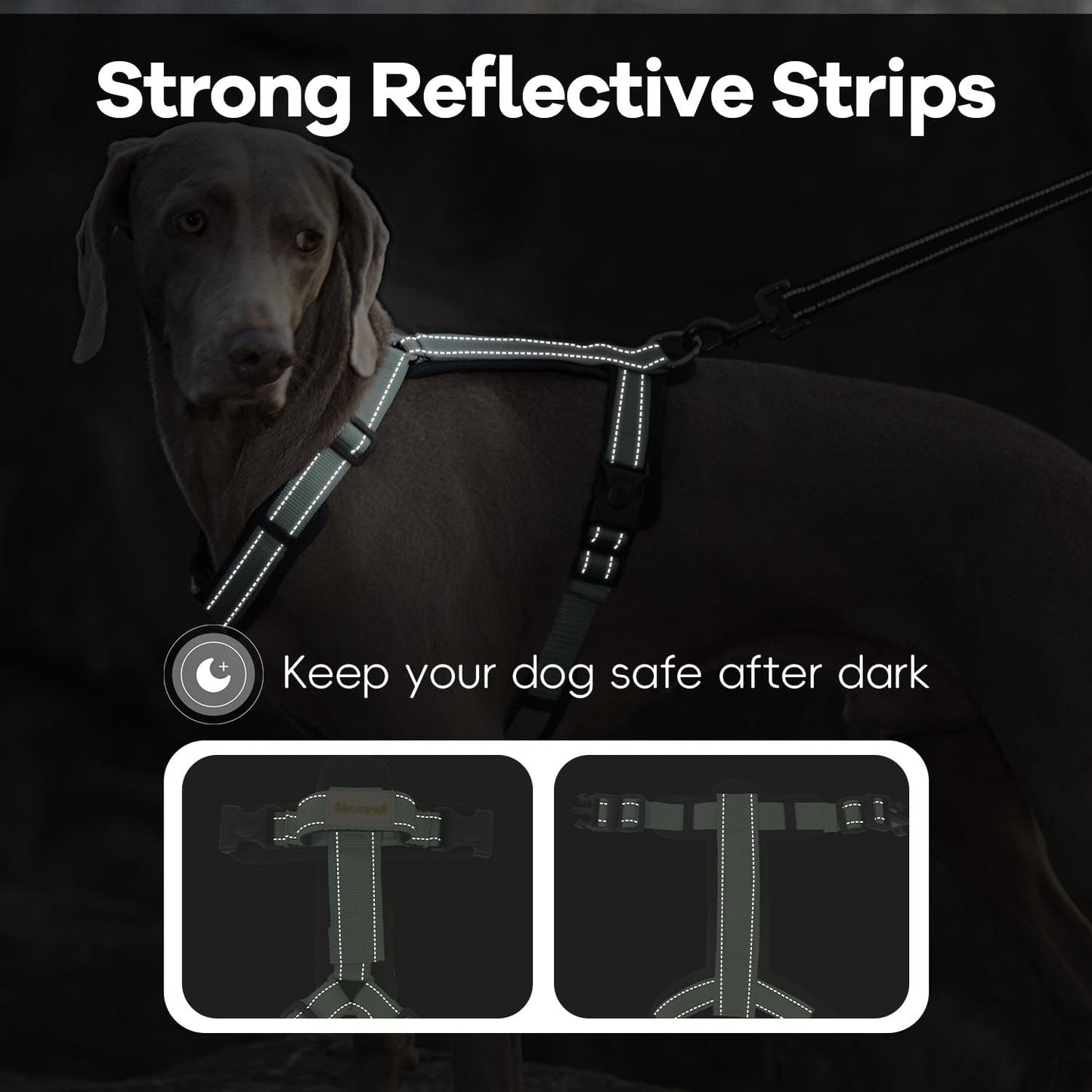 Dog Harness with Security Lock Buckle for Small Medium Large Dogs, Adjustable Dog Cooling Vest, Reflective No Pull No Choke Harness for Trail Running, Walking, Hiking, Camping