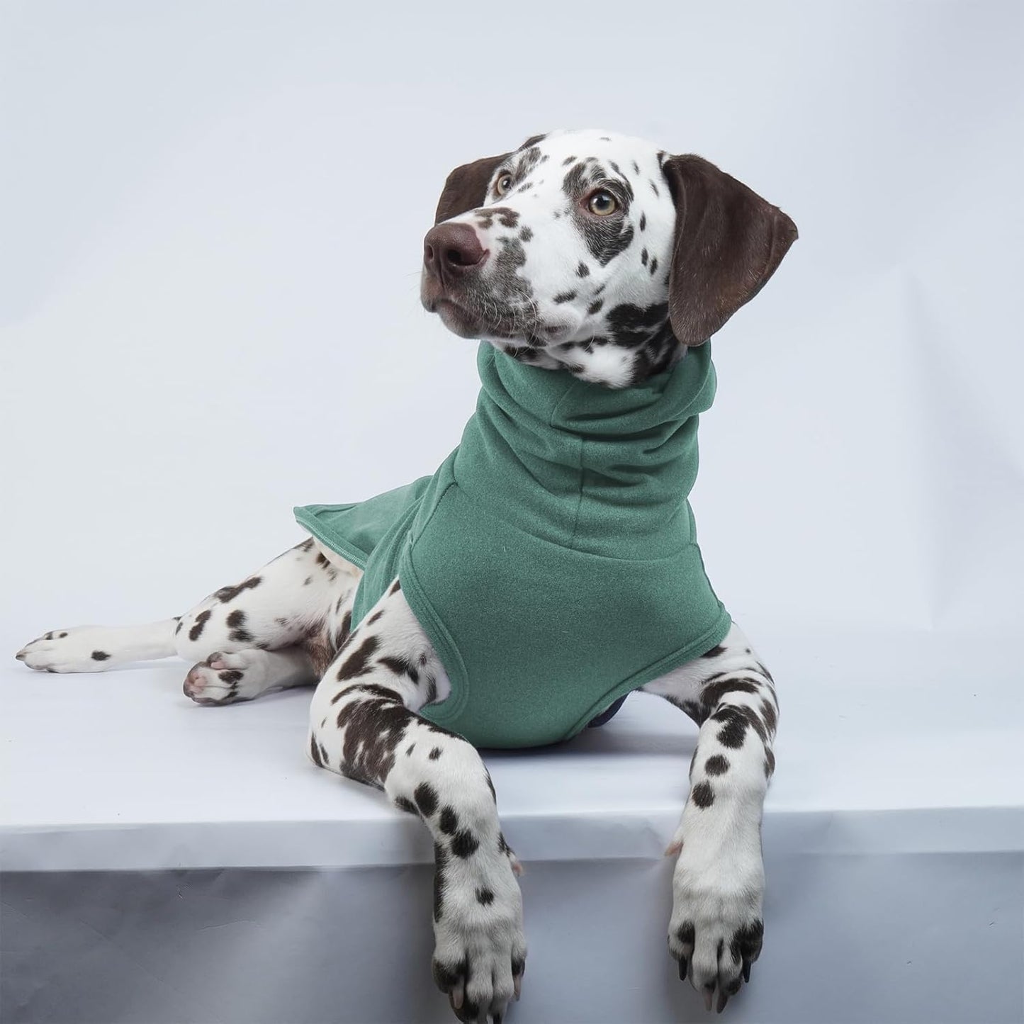 ROZKITCH Dog Anxiety Vest Calming Jacket with Hoodie Soft Dog Ears Cover, Warm Clothes with Ear Wrap for Fireworks Travel Vet Visit Separation Anxiety Relief, Calming Shirt Wrap Green XL