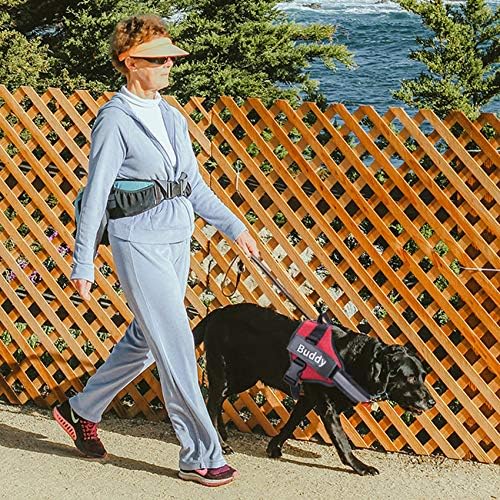 HOTGOL Personalized Dog Harness, Custom No Pull Pet Vest with Name and Phone Number to Prevent Tugging, Pulling, or Choking, Training and Walking(Blue,M)