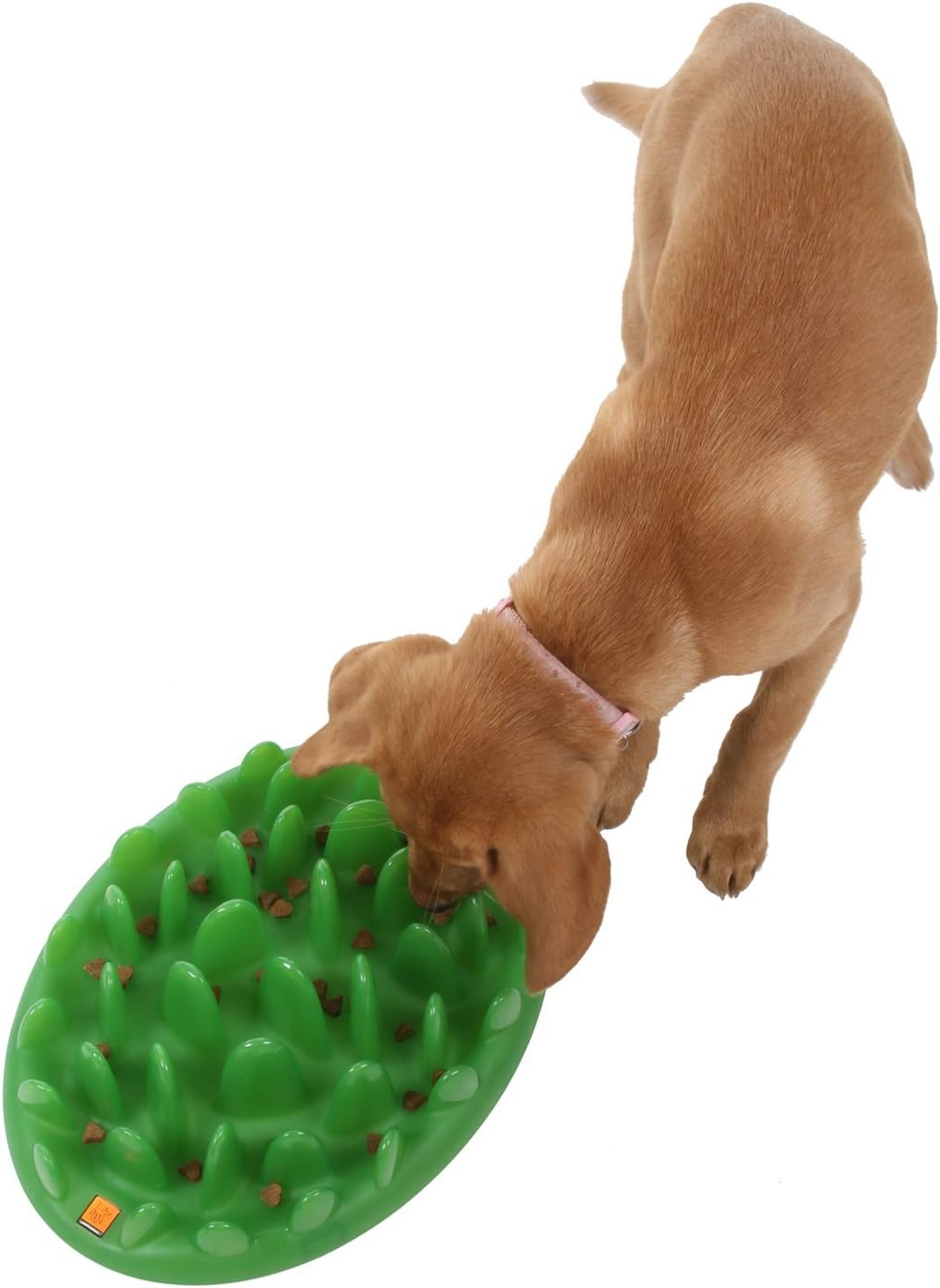 Company of Animals GREEN Slow Interactive Feeder for Dogs, Size Large, Best Fun Slow Feeder Dog Bowl, Anti-Gulp, Gobble Stopper, Mental Stimulation Dog Puzzle, Suitable for Small, Medium & Large Dogs