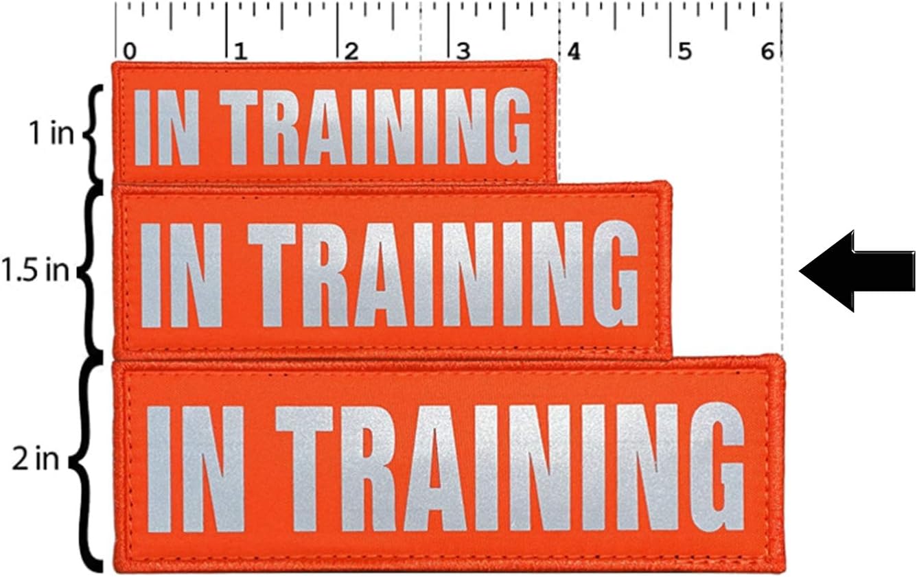JUJUPUPS Orange Reflective Dog Patches 2 Pack Service Dog,in Training,DO NOT PET,Patches with Hook and Loop for Vests and Harnesses(in Training, 5x1.5 inch)