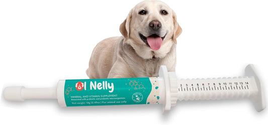 OL’ NELLY Dog Probiotic Paste for Digestive Support & Sensitive Stomach | 6-Strain Probiotics, Up to 7.2 Billion CFU per Serving | Helps with Loose Stool & Digestive Upset | 14g