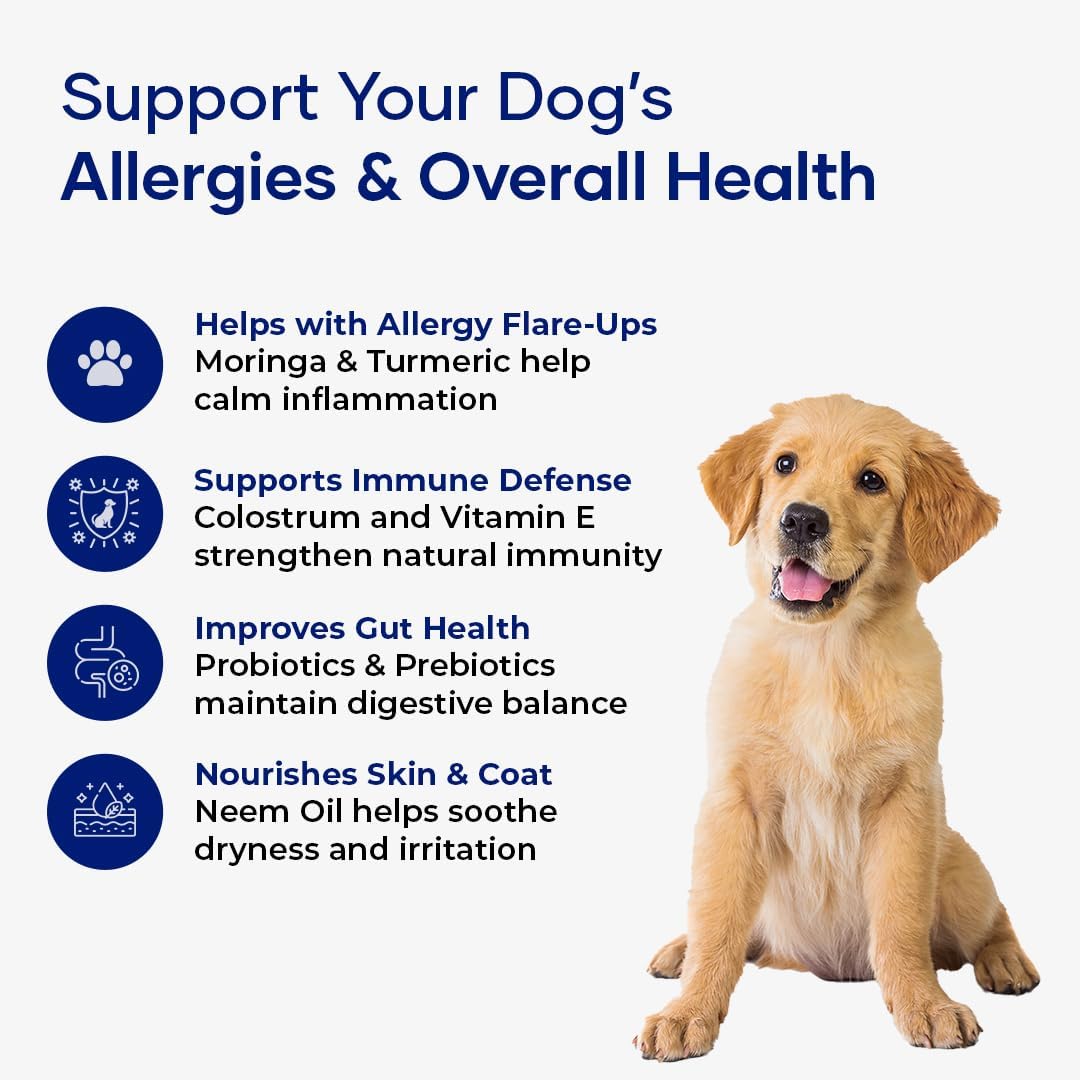 Allergy & Immune Support Chews for Dogs – Powered by Astragalus Root & Flaxseed C3 – Promotes Seasonal Allergy Relief, Gut & Digestive Health – Soft Chews
