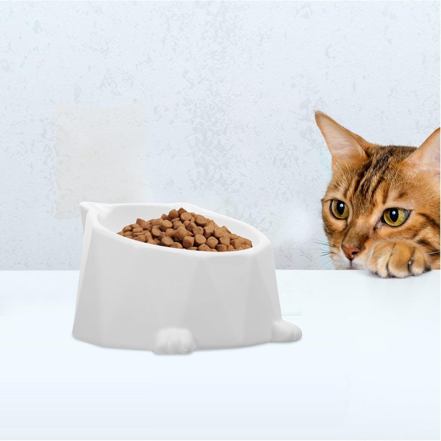 Ceramic Elevated Cat Bowl Neck Protection, White Raised Pet Feeding Dish, Anti-Spill Tilted Floor Bowl for Indoor Cats and Small Dogs