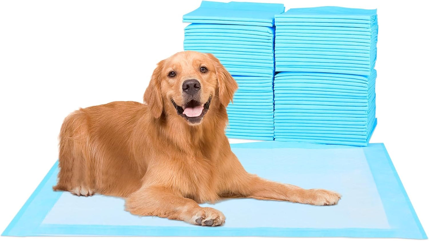 Super Absorbent Waterproof Dog and Puppy Pet Training Pad, Housebreaking Pet Pad, 50-Count Extra Middle-Size, 28’’X30’’, Blue