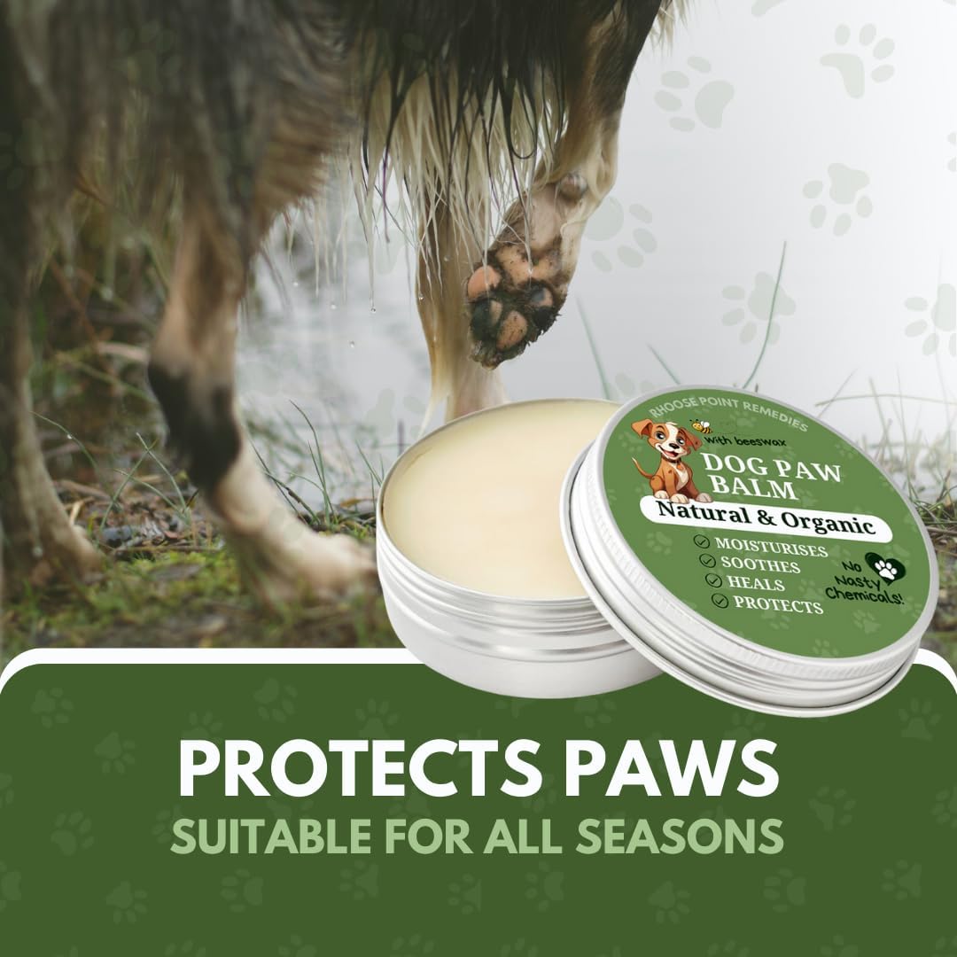 Lick Safe Dog Paw Balm - Softens, Heals, Soothes & Protects Dogs Paws, Noses & Skin. All Natural, Organic Ingredients. Lick-Safe Protection for Dogs with Beeswax (2 fl.oz - Standard Tin)