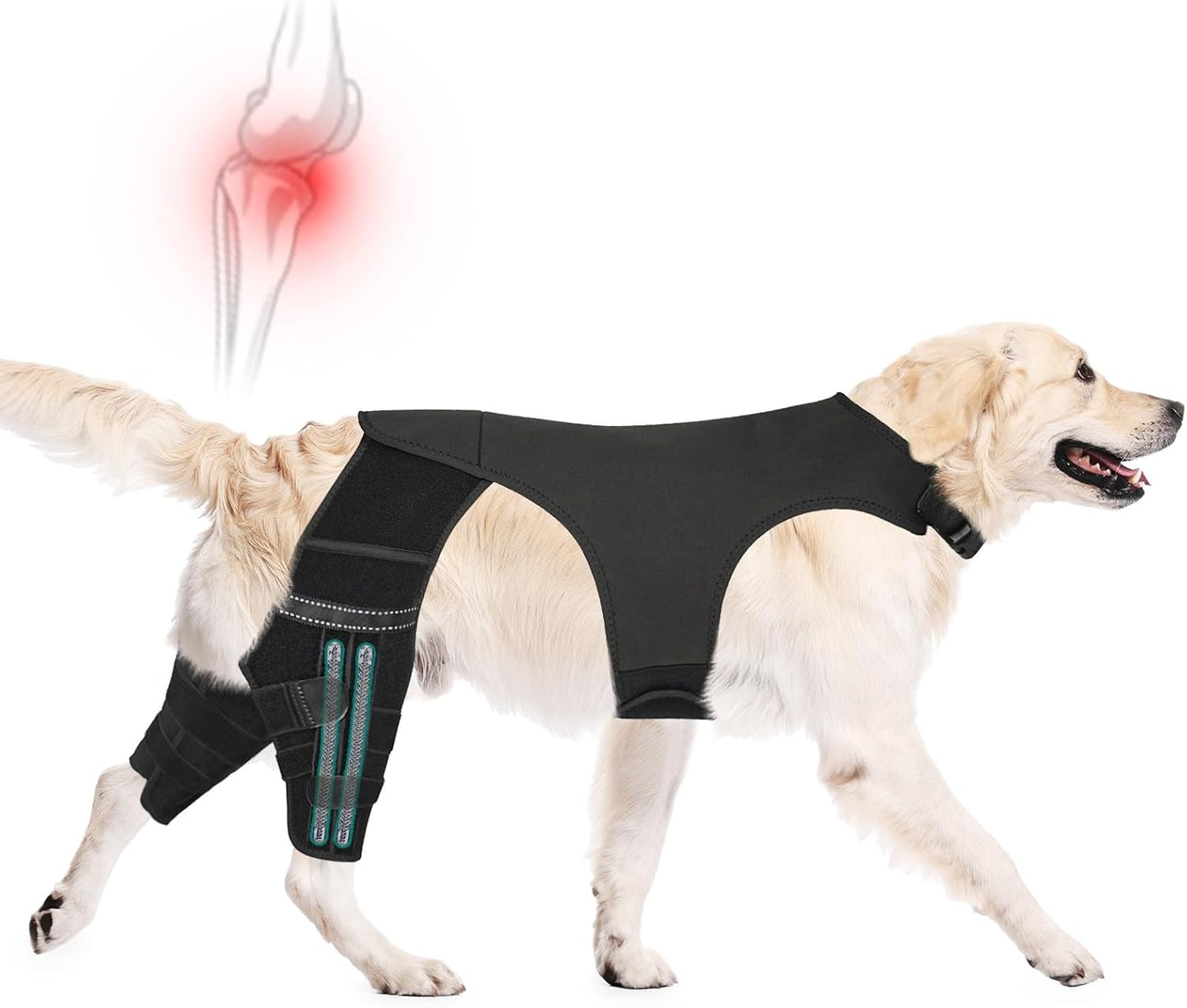 Dog Knee Brace for Hind Legs ACL Support - Adjustable Double Leg Dog Brace for Joint Pain Relief, Luxating Patella, Arthritis Recovery - Secure Fit Orthopedic Wrap for Small Medium Large Dogs (XXL)
