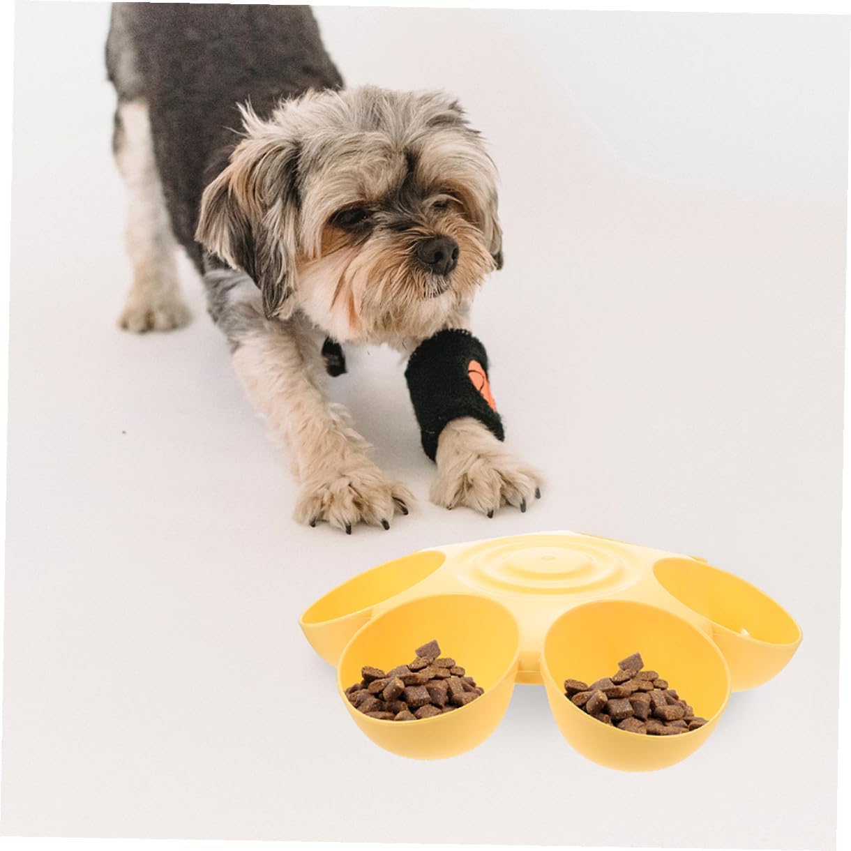 PRETYZOOM 2pcs Flower Shape Pet Bowls 6-Petal Multi-Slots Anti-Slip Food and Water Holder for Cats and Puppies Indoor Feeding Supplies