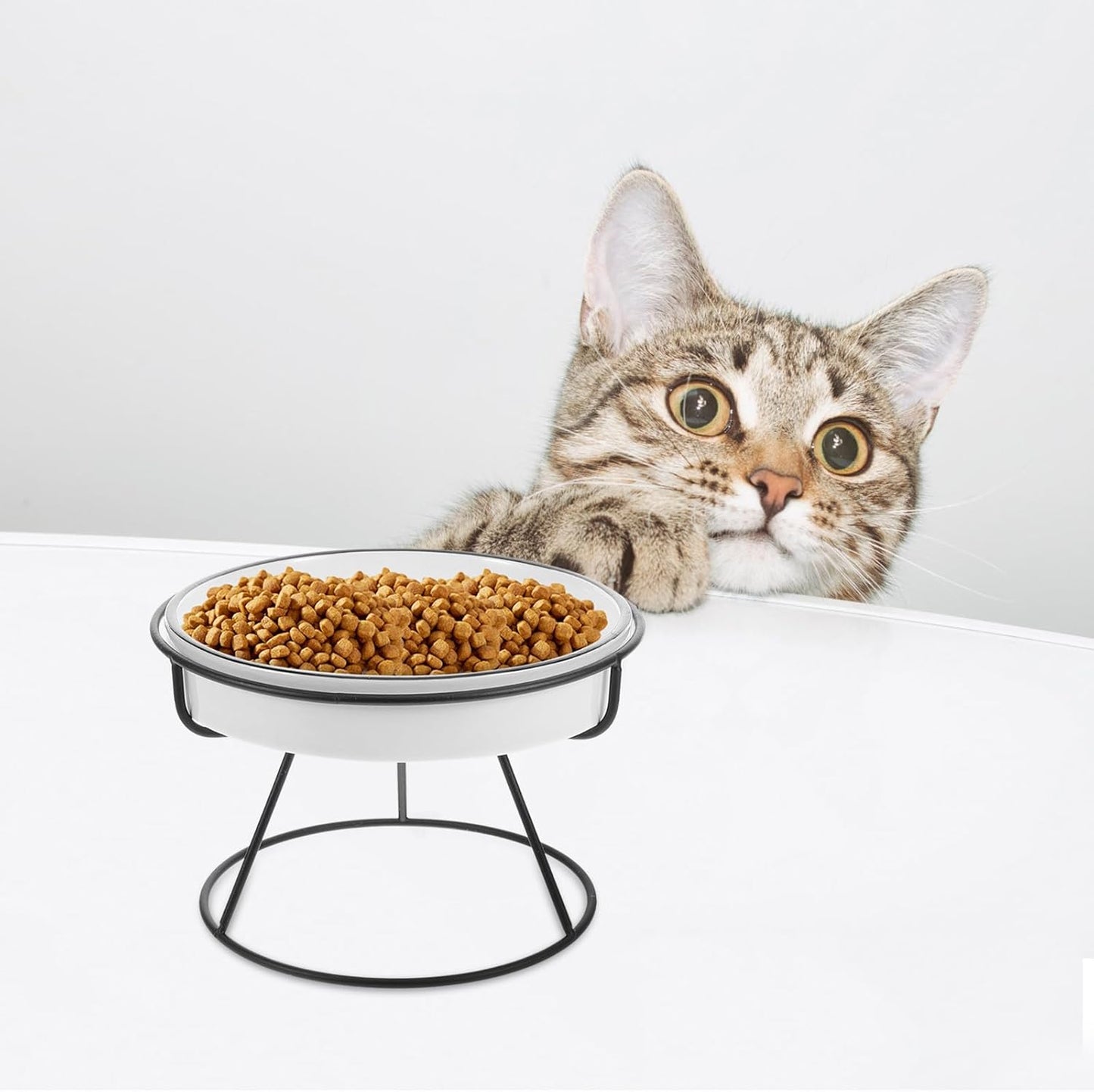 PRETYZOOM Ceramic Elevated Cat Bowl with Iron Stand Slow Feeding Raised Pet Food and Water Dish Whisker Friendly Anti-gulping Design for Cats and Small Dogs