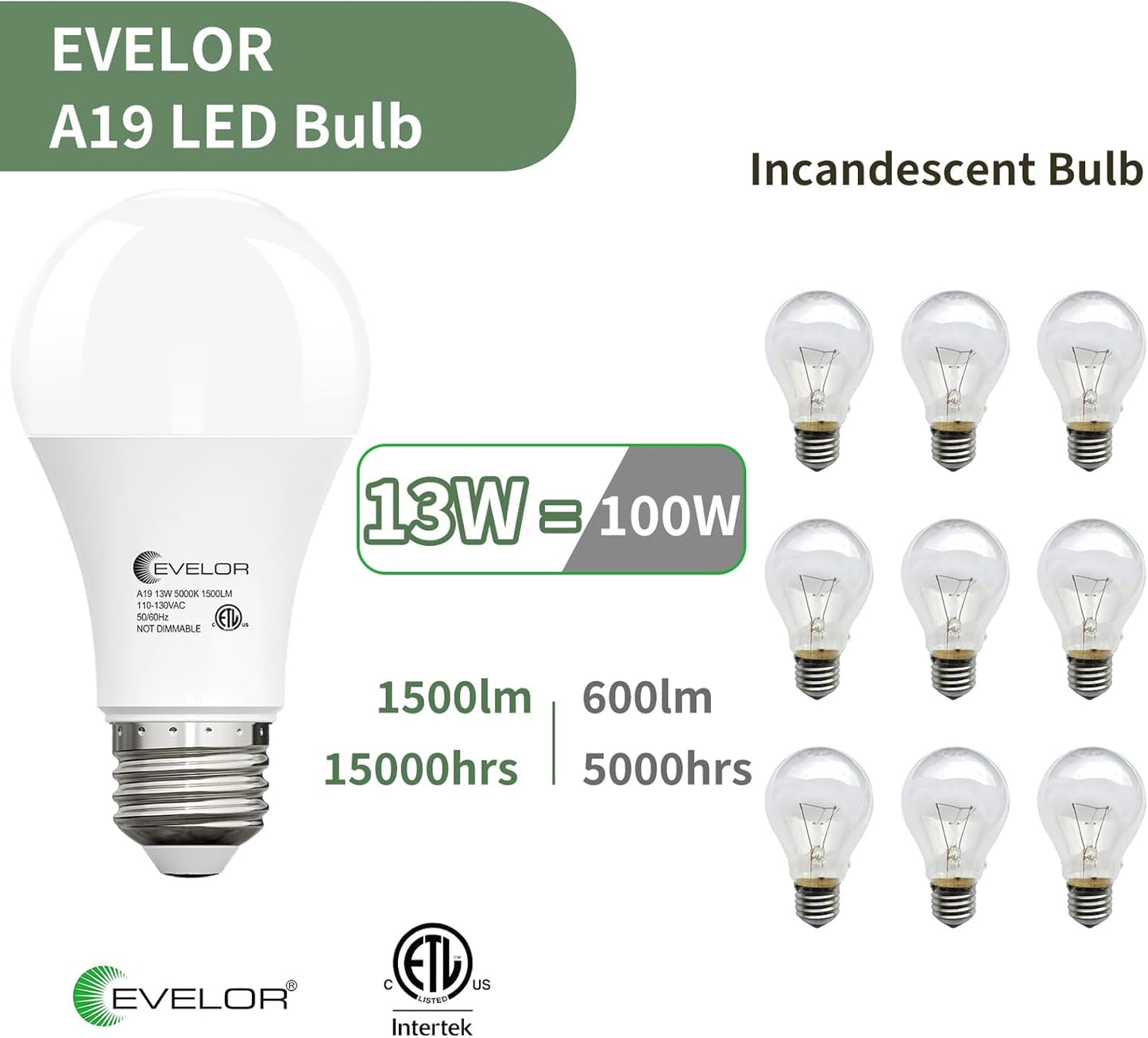 6-Packs A19 LED Light Bulbs,100 Watt Equivalent Daylight 5000K Bright Bulbs Efficient 13W,1500 Lumens E26 Base, Non-Dimmable, 15000-Hour Lifespan for Bedroom, Living Room, Office