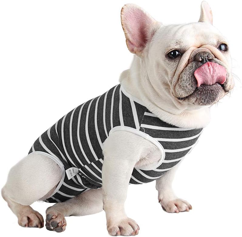 Etdane Dog Diapers Sanitary Panties Physiological Period Shirts Surgical Recovery Suits for Male and Female Dogs White Stripe Small