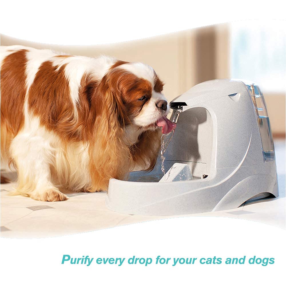 HiWater 12 Pack Water Filter Compatible with Cat Dog Fountains Pet Cartridges Filter Replacement