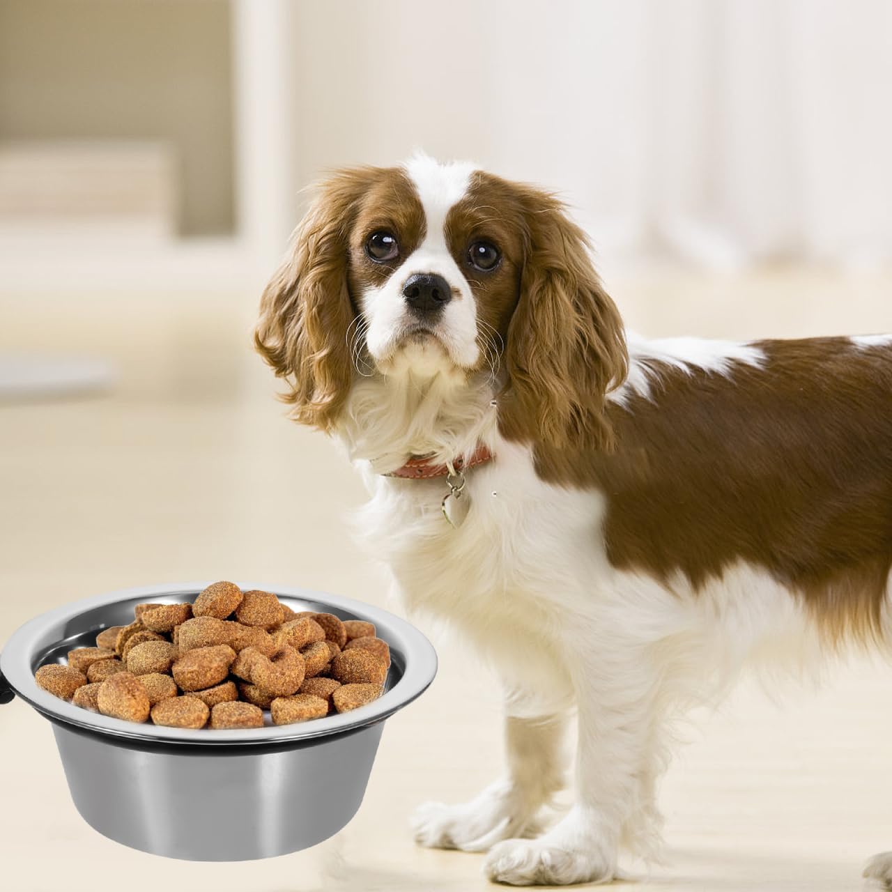 NOLITOY Elevated Dog Bowl, Wall Mounted Raised Food and Water Bowl for Medium Dogs Pet Feeding Station