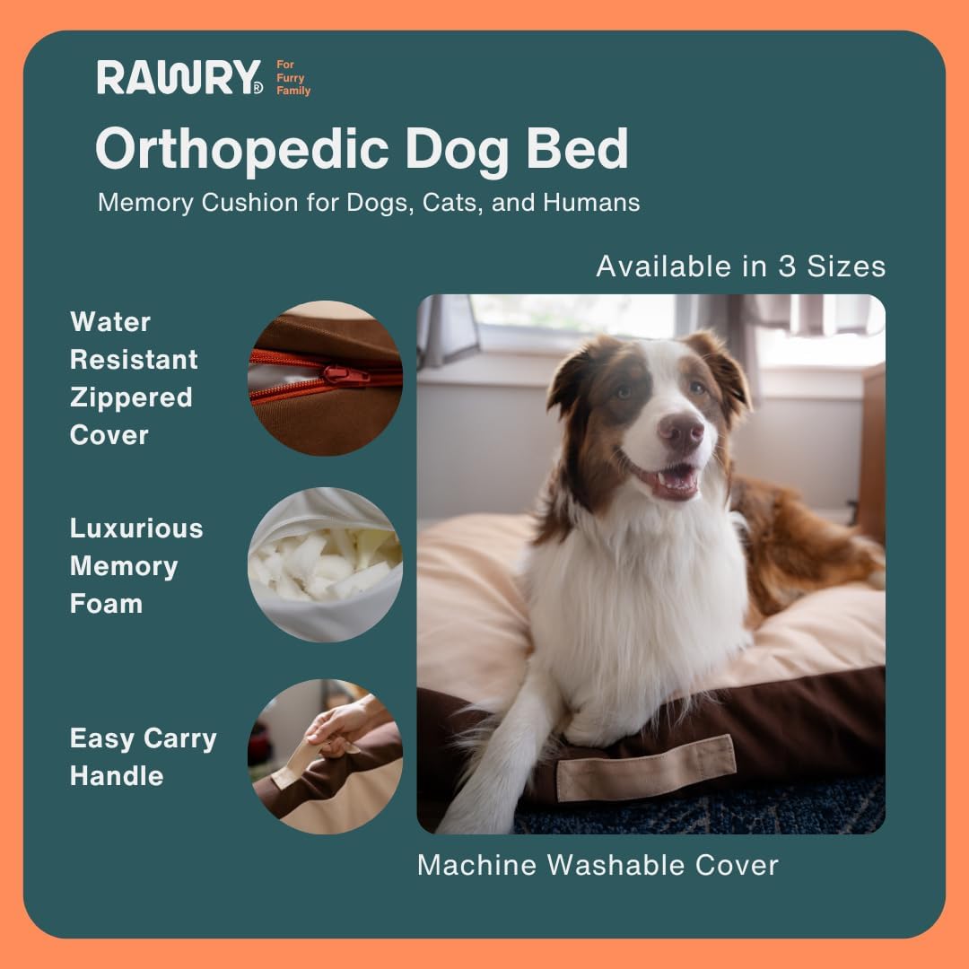 Rawry Orthopedic Dog Bed | Memory Foam Dog Bed with Handle | Water-Resistant, Machine Washable Cover | Floor Cushion for Cats, Dogs & People - Tan/Brown (Small - 24" x 18")