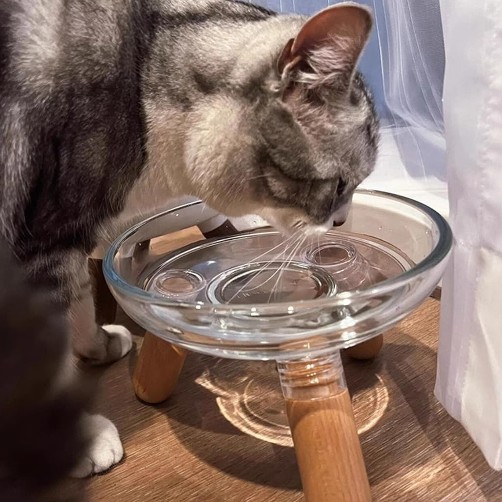 Comfortable Feeding Position for Dog with Elevated Bowl Stand Pet Feeder