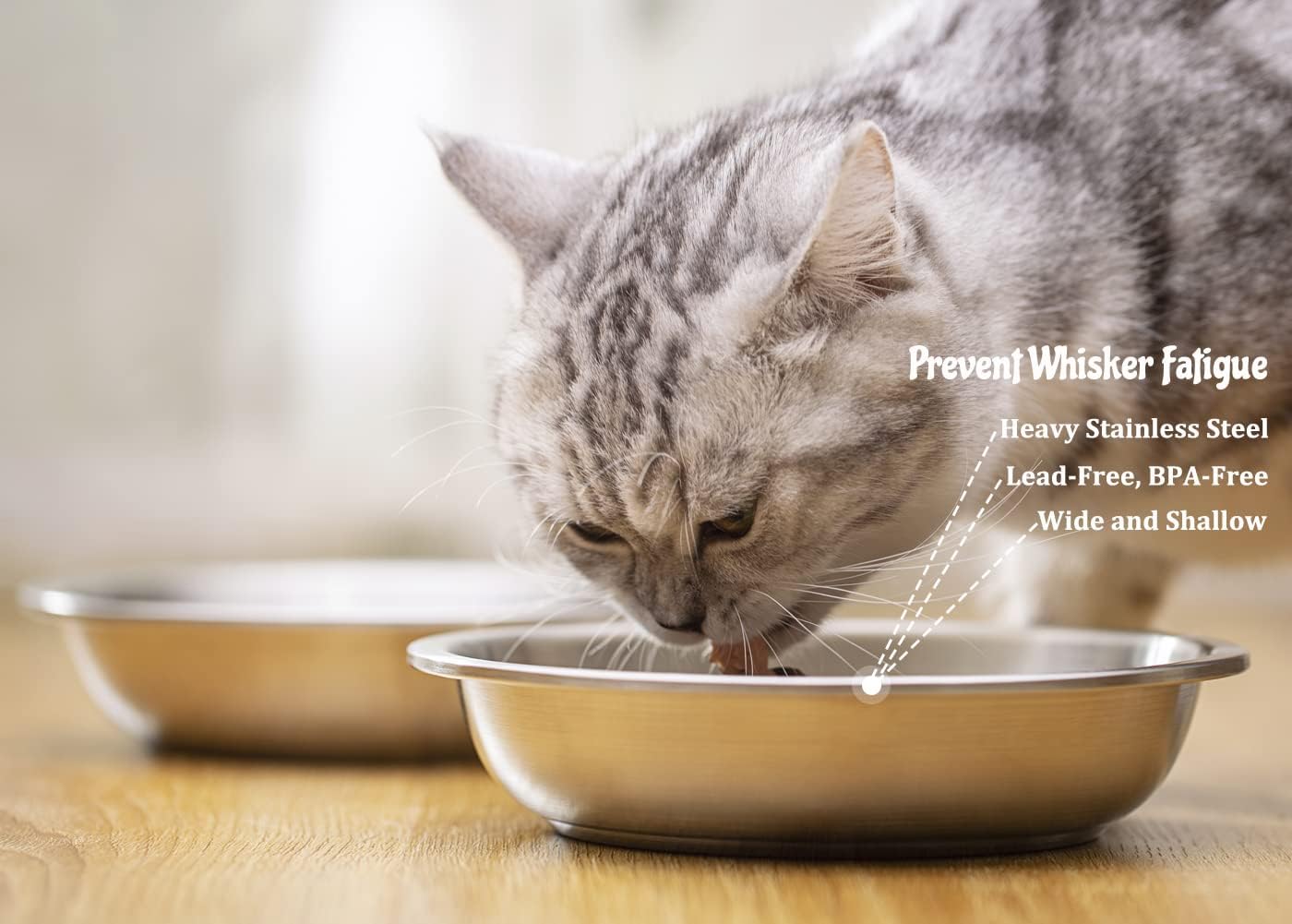 Stainless Steel Cat Bowls 2 Pack, Whisker Fatigue Relief Cat Food Dish, Metal Shallow Wide Large Replacement Plate for Dog and Pet, Ideal for Raised Elevated Pet Feeding Station Stand, 6.3"