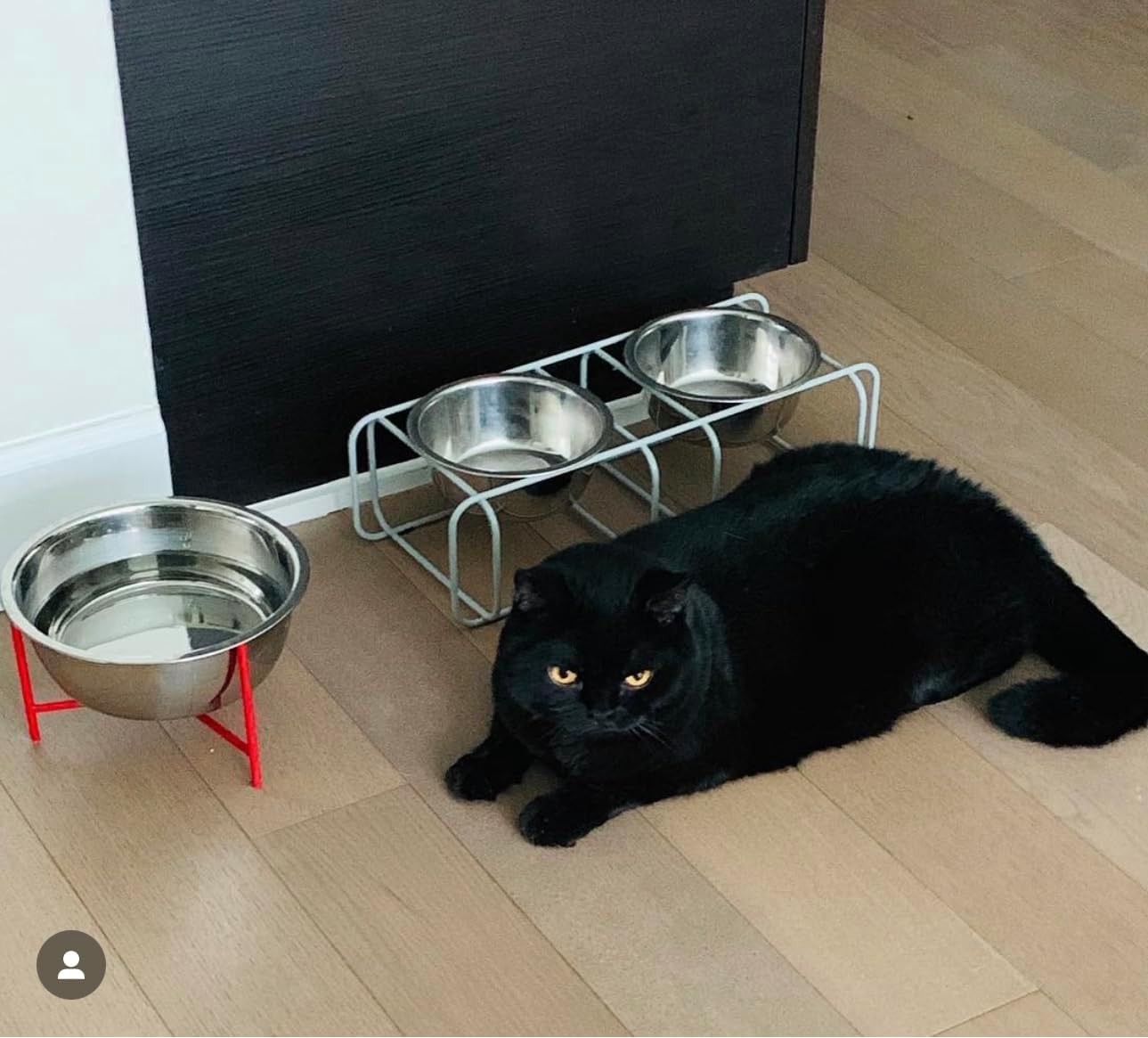 Wire & Dine Elevated Dog Bowls Stand for Small & Medium Sized Dogs & Cats - 2 Stainless Steel 3 Cup Dishes - Non-Skid, Modern Minimalist Design, Dishwasher Safe, White Frame - Made in USA