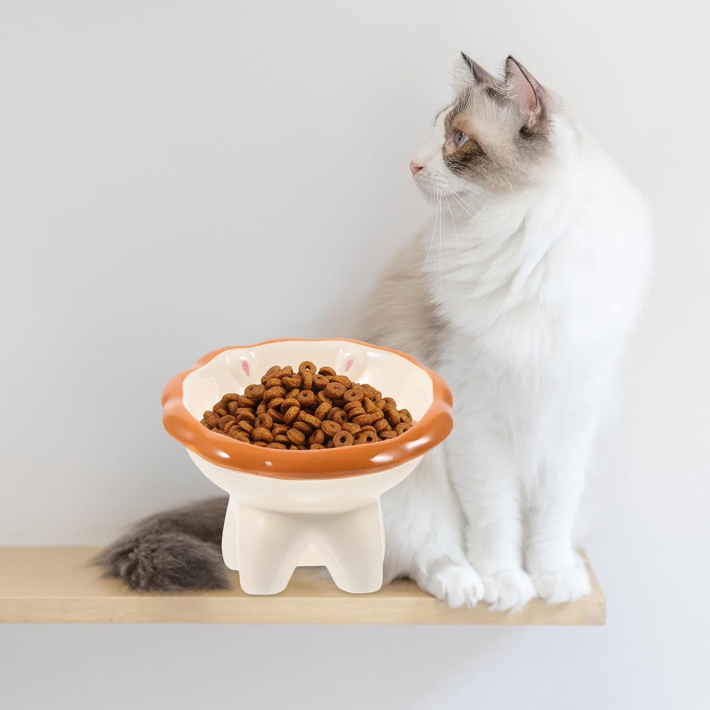 Milisten Ceramic Elevated Cat Feeding Bowl Tilted Raised Cat Water Bowl Brown Raised Food Dish Easy to Clean