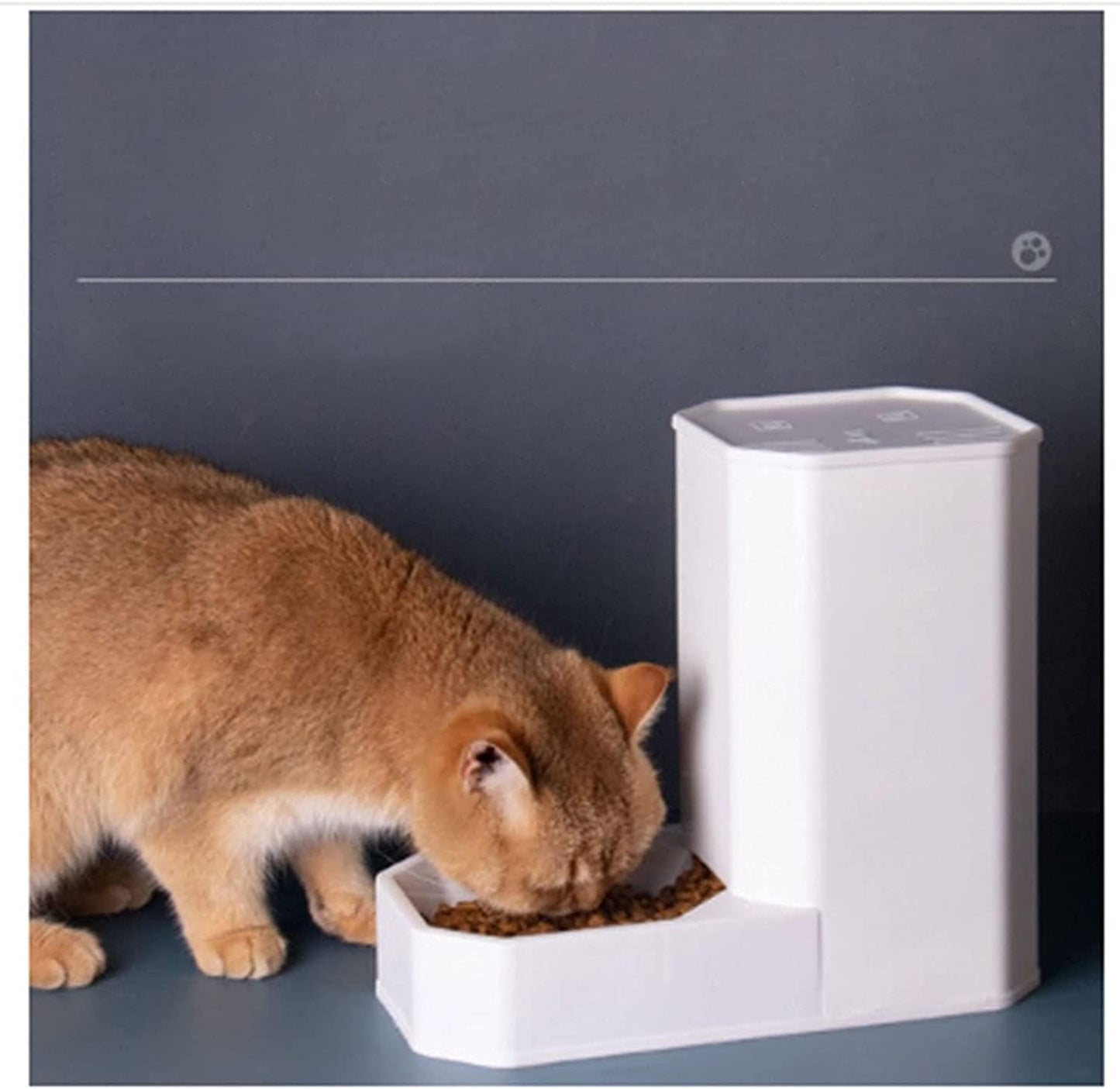 Fountain Automatic Feeder Set for Pet Dog Cat Water Dispenser Fountain Plastic Safety 3.6L Dog Cat Feeding Bowl Gravity Pet Food Feeder and Water Dispensers Pet Water Dispenser