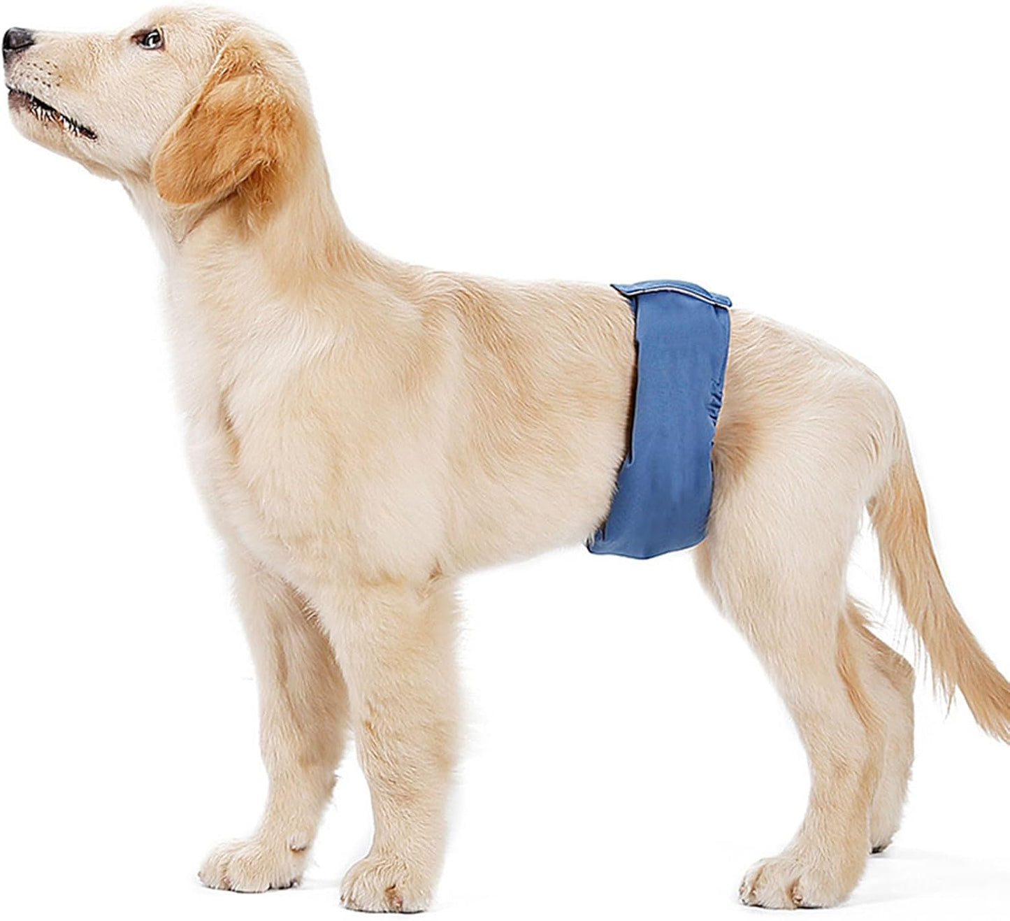 Large Dog Diaper Sanitary Physiological Pants Washable Male Dog Underwear Pet Dogs Supplies Dog Reusable Underwear