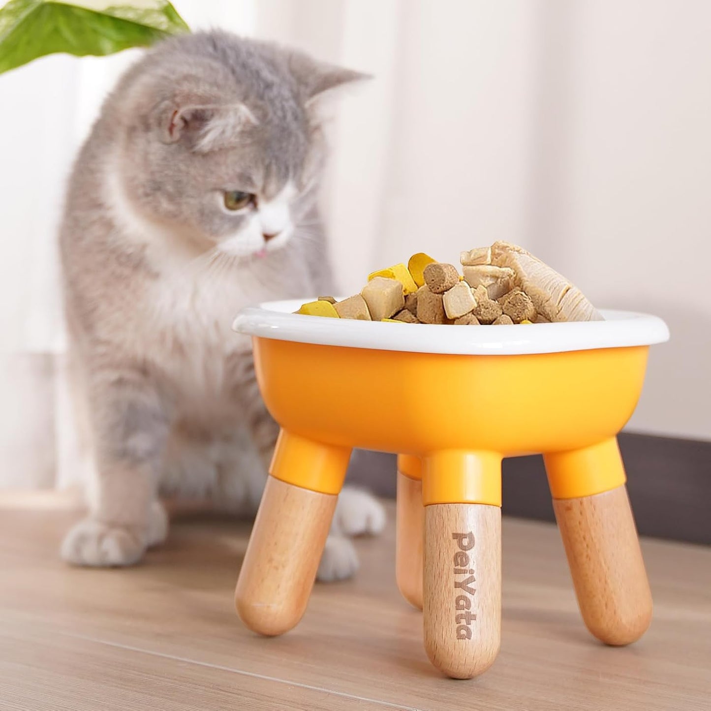 Elevated Cat Bowl and Dog Bowl - Ceramic Raised Pet Bowl with ABS & Beech Wood Stand for Neck & Whisker Relief,Weighted Food or Water Set for Cats & Small Dogs 13.5OZ