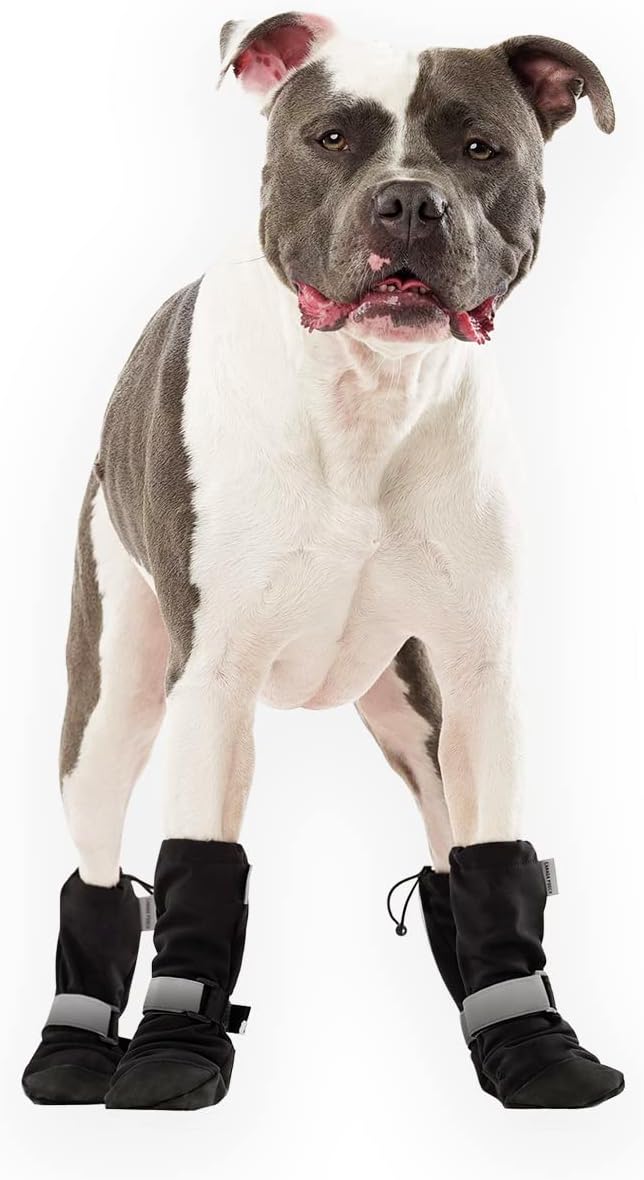 Canada Pooch Dog Winter Boots - Paw Protection, Anti-Slip Dog Shoes with Reflective Strap, Easy On for Small Medium Large Dog Booties - Black, Size 1