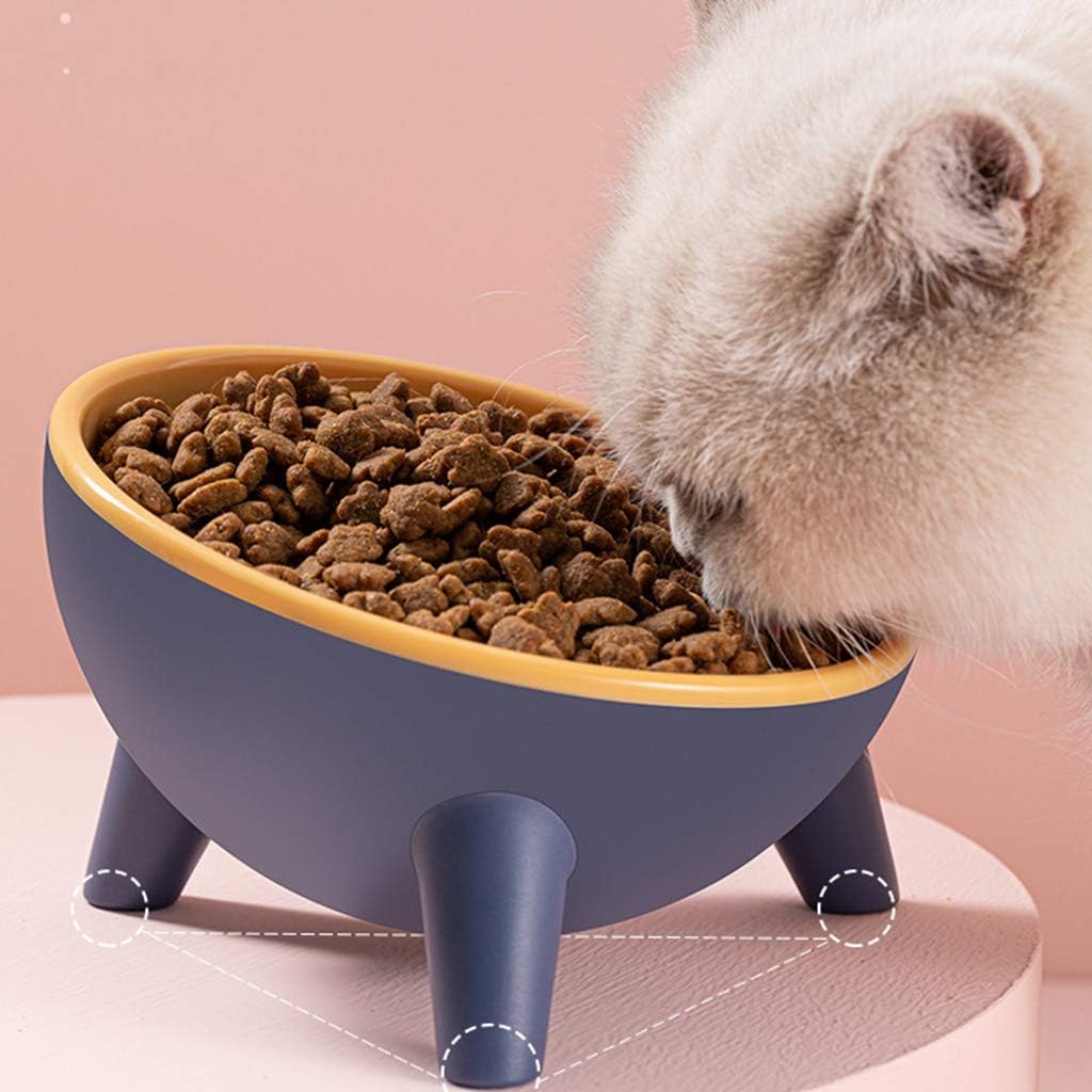 Tilted Pet Bowl, 15 Degree Tilted Cat Feeder Protect for Cat Spine, Elevated Dog Bowl with Stand, Non Slip Pet Feeding Station (Green)