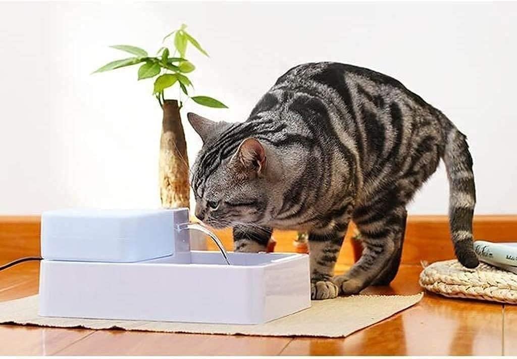 Pet Fountain 1.8L Automatic Cat Water Fountain Dog Water Dispenser for Cats Dogs Multiple Pets