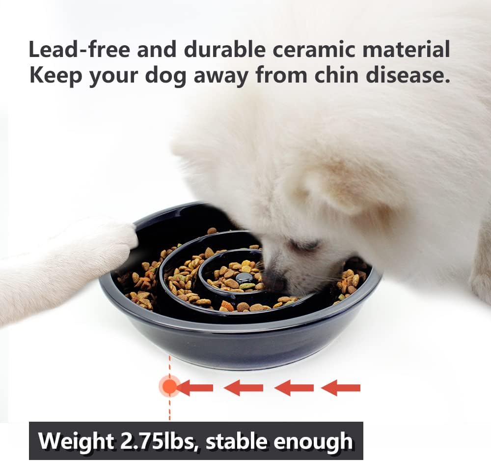 GH Ceramic Slow Feeder Dog Bowl, 3 Cups, 2 Pet Flying Discs Included - Black